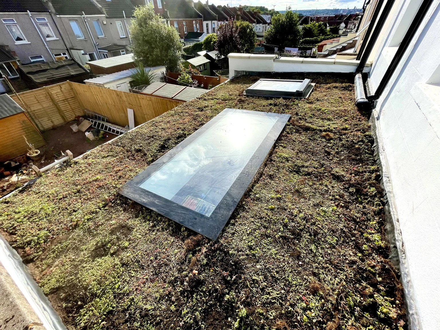 Green sedum roof with rooflights overlooking the rear gardens at Sandy Park